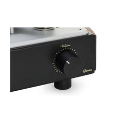 MASTERSOUND GEMINI INTEGRATED AMPLIFIER