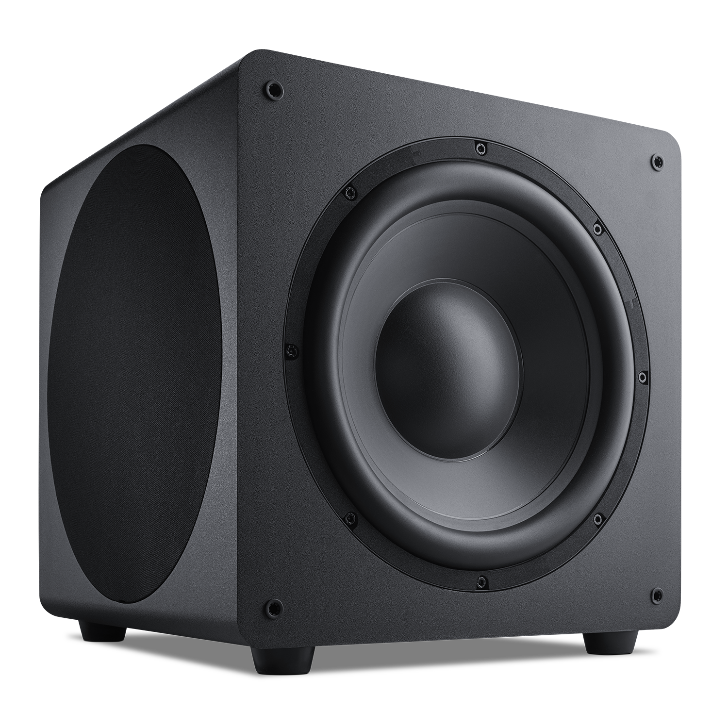 PROFICIENT AUDIO FDS-10 10 INCH SUBWOOFER